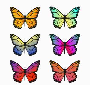 Раскраска бабочки маленькие #31 #209490