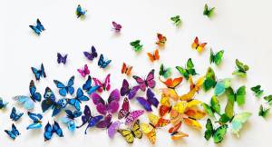 Раскраска бабочки много #20 #209516