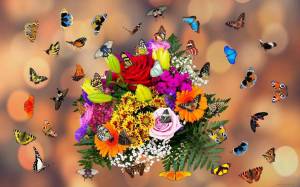 Раскраска бабочки много #22 #209518