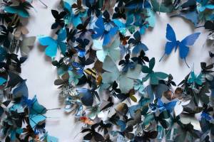 Раскраска бабочки много #23 #209519