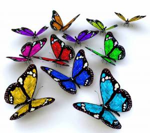 Раскраска бабочки много #28 #209524