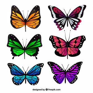 Раскраска бабочки много на одном листе #1 #209525