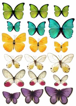 Раскраска бабочки много на одном листе #7 #209531