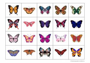Раскраска бабочки много на одном листе #10 #209534