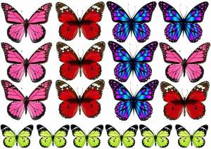 Раскраска бабочки много на одном листе #11 #209535