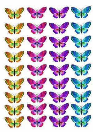Раскраска бабочки много на одном листе #13 #209537