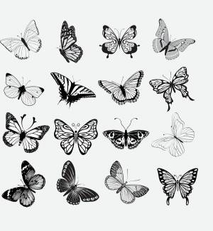 Раскраска бабочки много на одном листе #21 #209545