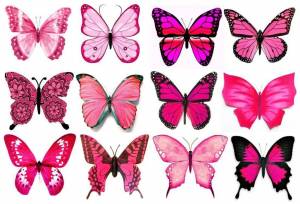 Раскраска бабочки много на одном листе #22 #209546