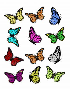 Раскраска бабочки много на одном листе #23 #209547