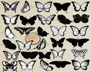 Раскраска бабочки много на одном листе #24 #209548