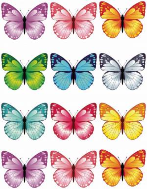 Раскраска бабочки много на одном листе #27 #209551