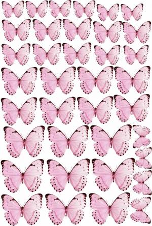 Раскраска бабочки много на одном листе #28 #209552