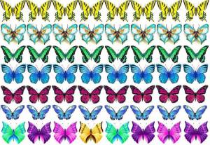 Раскраска бабочки много на одном листе #37 #209561
