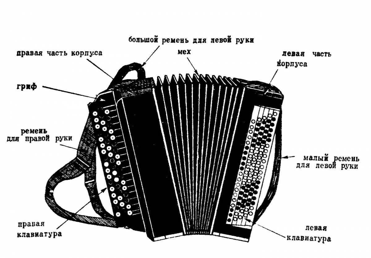 Части музыки. Строение аккордеона схема. Баян строение инструмента. Схема устройства гармони. Составные части гармони.