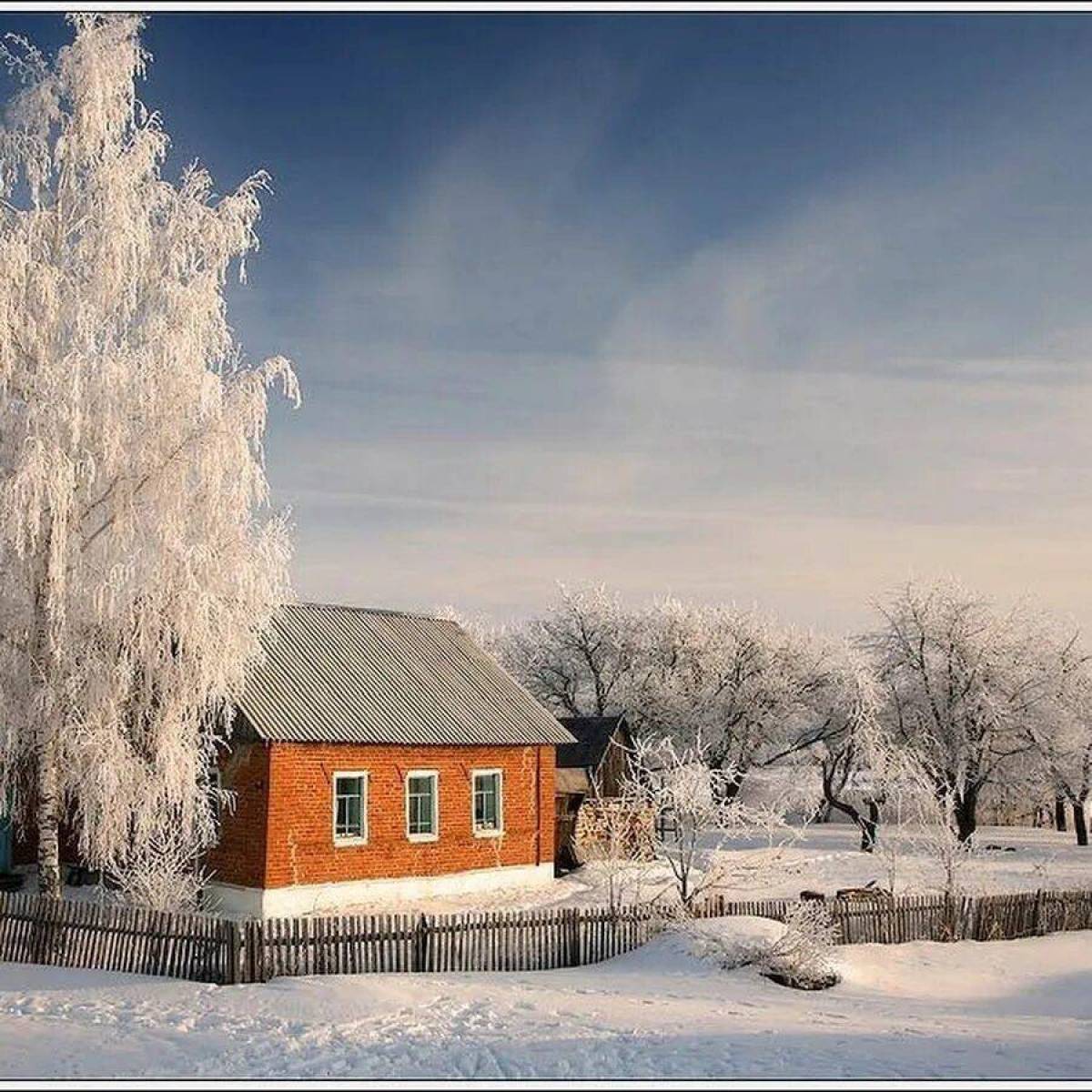 Белая береза картинки