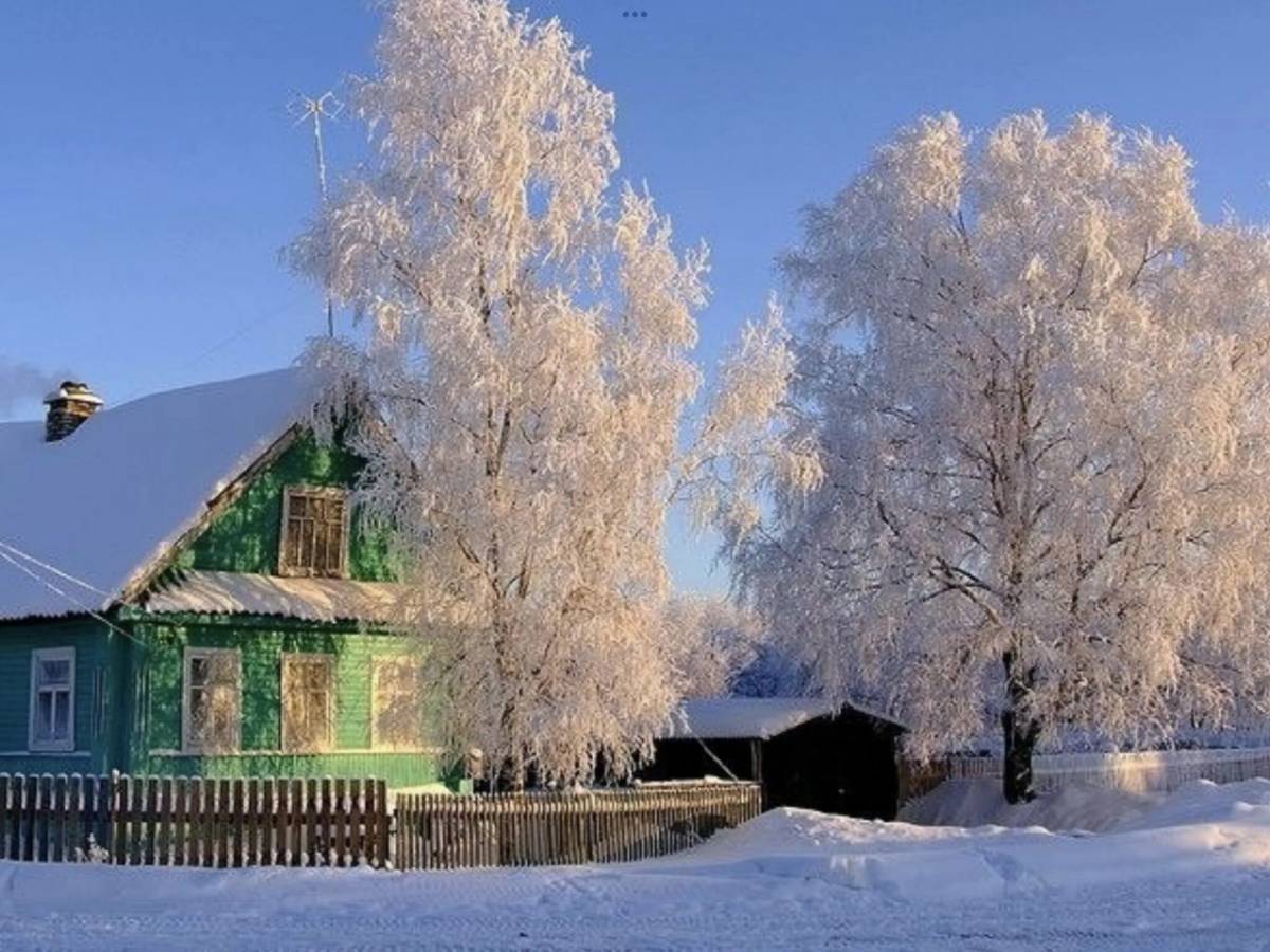 Деревенский домик зимой. Береза под окном. Белая береза.