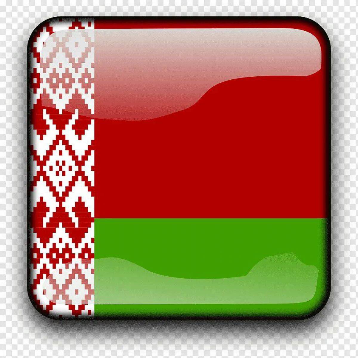 Белорусский флаг #6