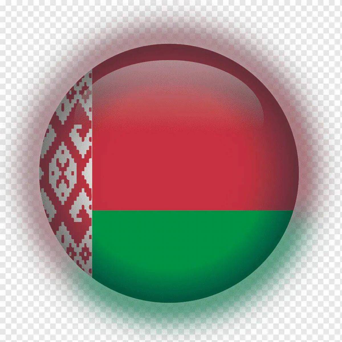 Белорусский флаг #15