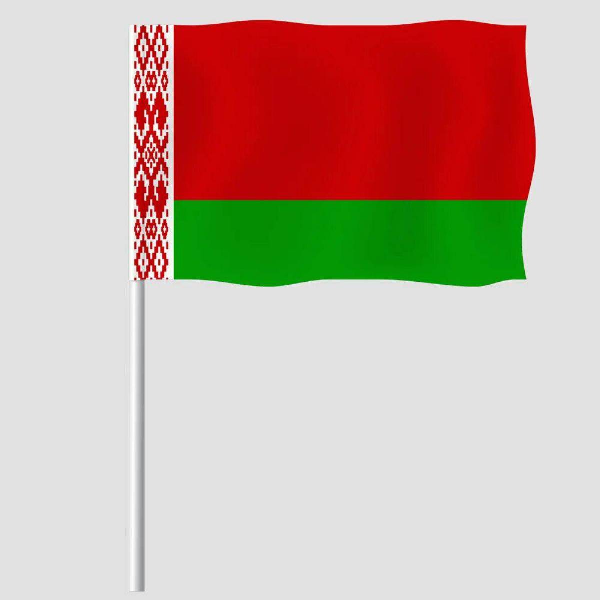 Белорусский флаг #19