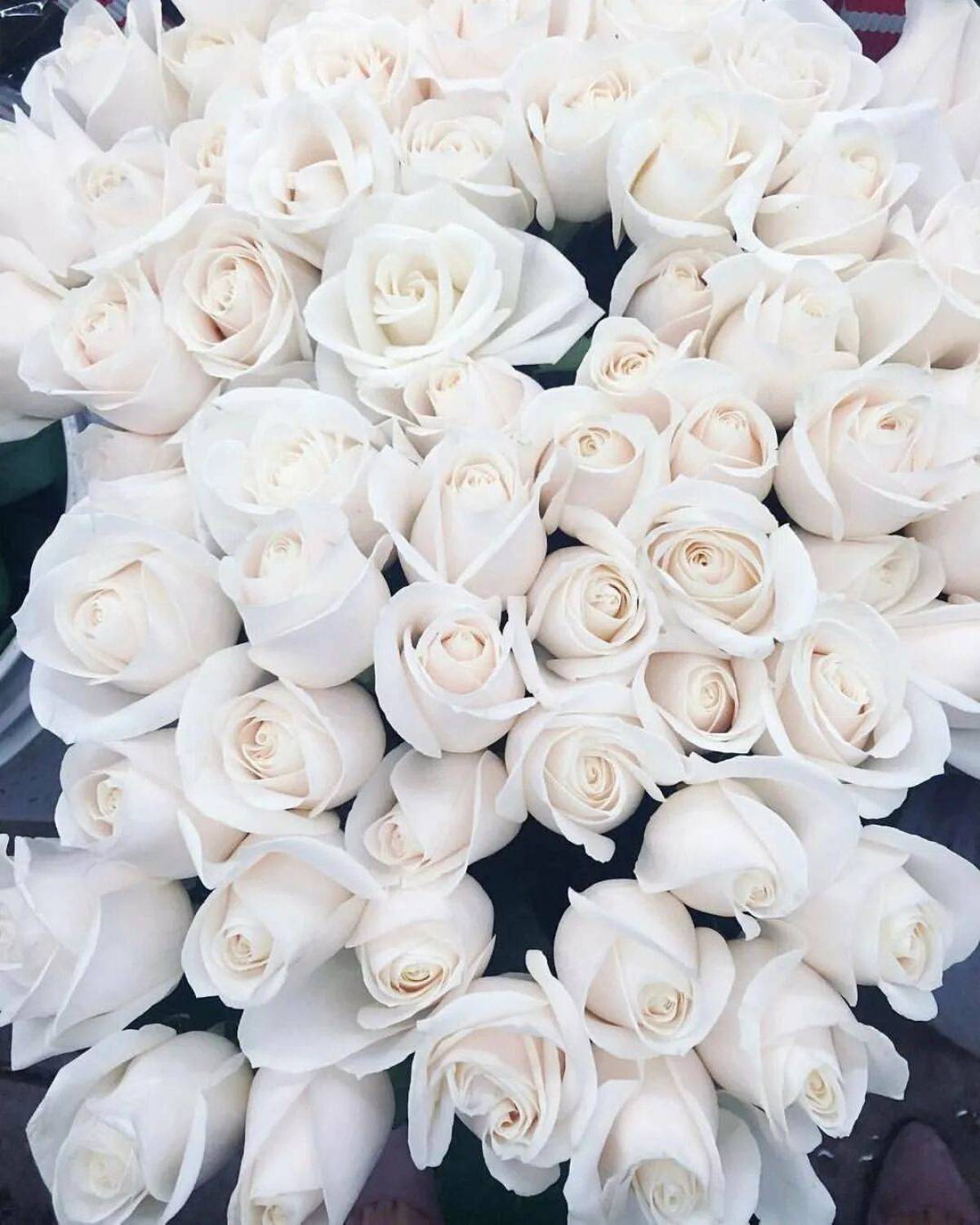 Біла з. Белый букет. Белые розы.