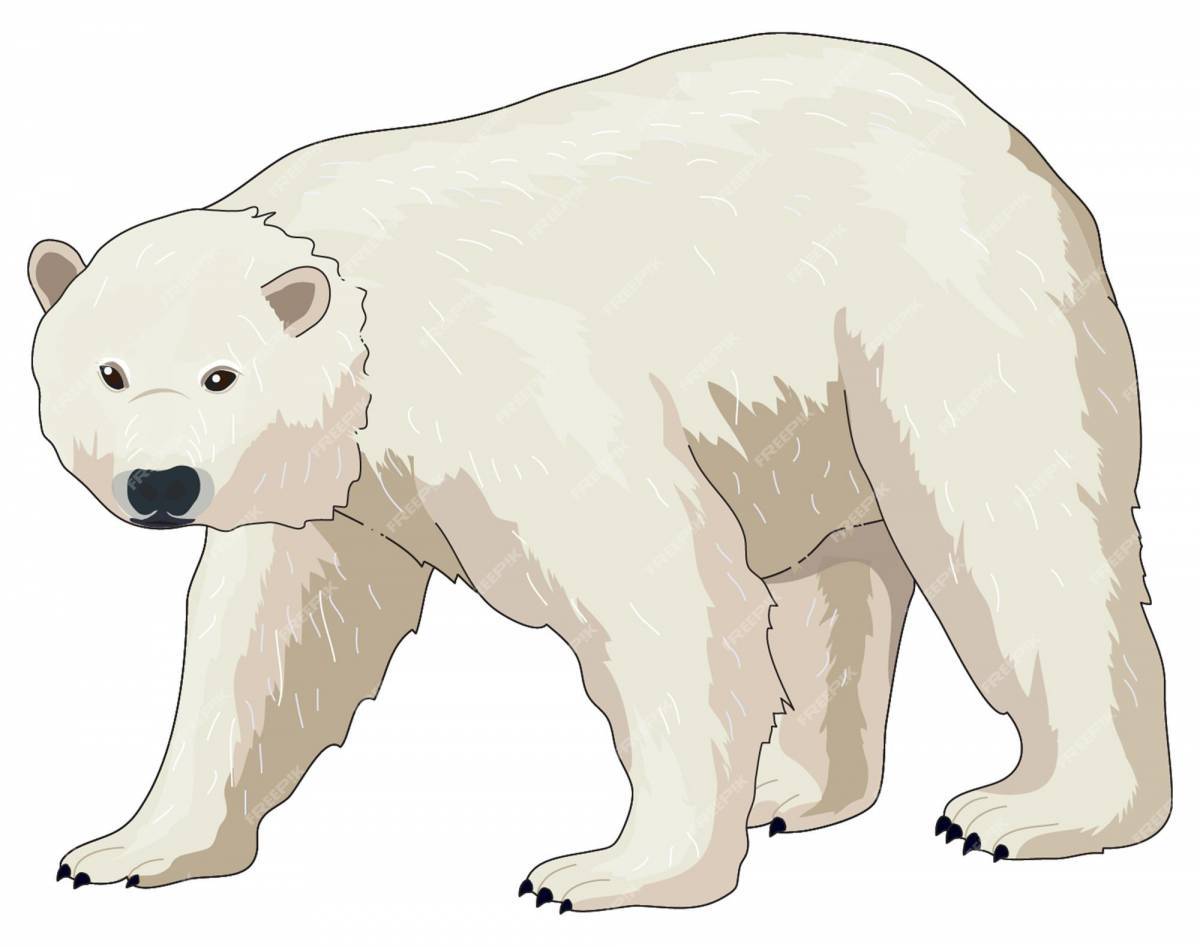 Белый медведь для детей 3 4 лет #7