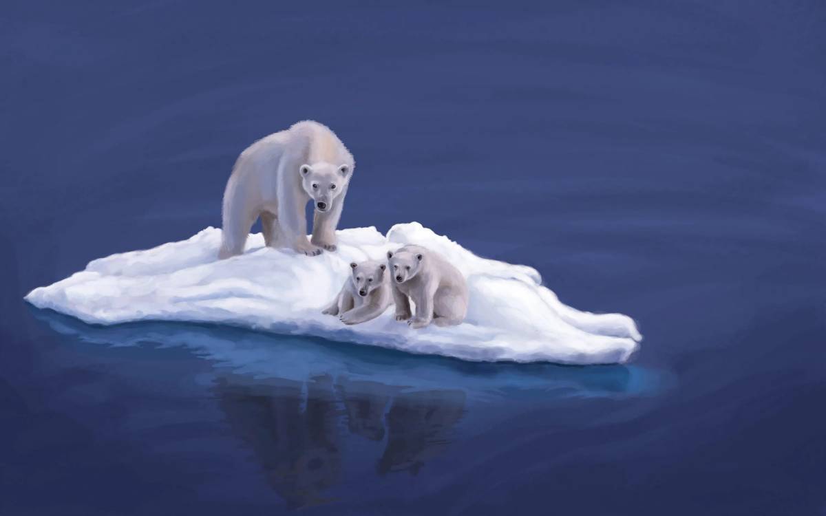 Белый медведь на льдине #37