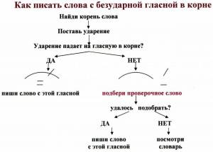 Раскраска безударные гласные в корне слова 2 класс #14 #214157