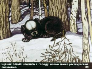 Раскраска белолобый #4 #215104