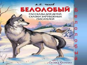 Раскраска белолобый #10 #215110