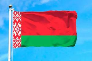 Раскраска белорусский флаг #1 #215242