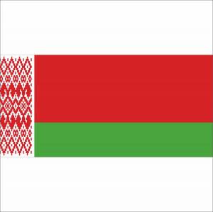 Раскраска белорусский флаг #5 #215246