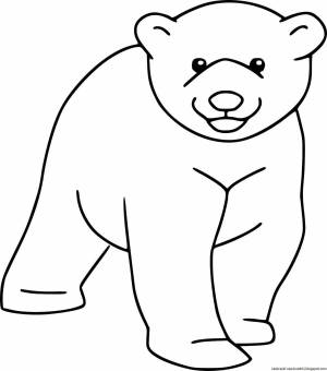 Раскраска белый медведь для детей 3 4 лет #3 #215632