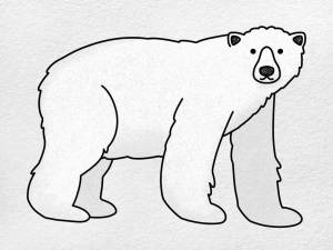 Раскраска белый медведь для детей 3 4 лет #6 #215635