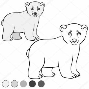 Раскраска белый медведь для детей 3 4 лет #10 #215639