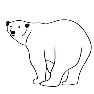 Раскраска белый медведь для детей 3 4 лет #11 #215640