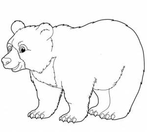 Раскраска белый медведь для детей 3 4 лет #12 #215641