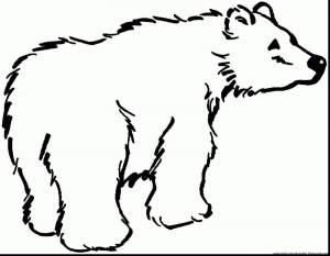 Раскраска белый медведь для детей 3 4 лет #16 #215645