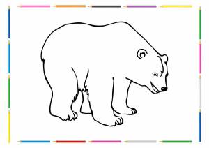 Раскраска белый медведь для детей 3 4 лет #18 #215647