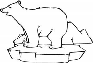 Раскраска белый медведь для детей 3 4 лет #22 #215651