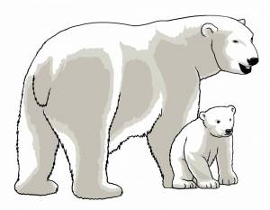 Раскраска белый медведь для детей 5 6 лет #10 #215667