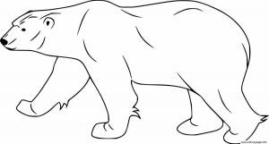 Раскраска белый медведь для детей 5 6 лет #15 #215672