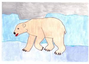Раскраска белый медведь для детей 5 6 лет #17 #215674