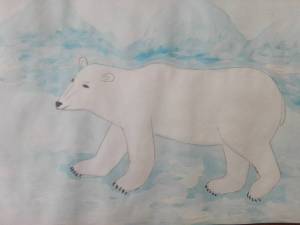 Раскраска белый медведь для детей 5 6 лет #18 #215675