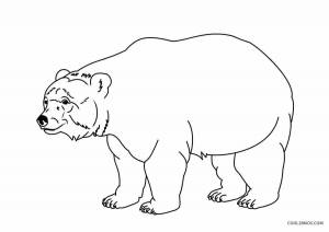 Раскраска белый медведь для детей 5 6 лет #19 #215676