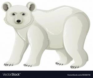 Раскраска белый медведь для детей 5 6 лет #20 #215677