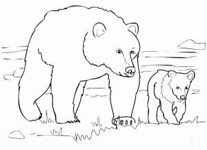 Раскраска белый медведь для детей 5 6 лет #27 #215684