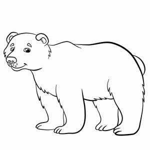Раскраска белый медведь для детей 5 6 лет #31 #215688