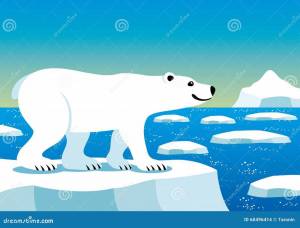 Раскраска белый медведь для детей на льдине #4 #215700