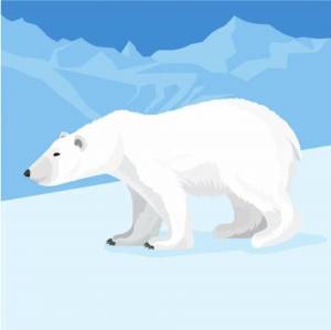 Раскраска белый медведь для детей на льдине #5 #215701