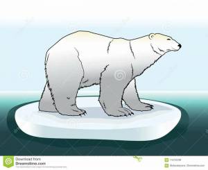 Раскраска белый медведь для детей на льдине #8 #215704